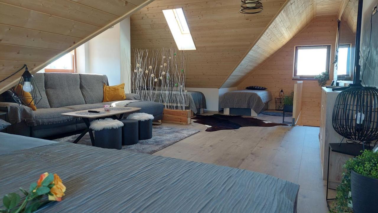 Apartman Pod Smrcinou Vaclavov u Bruntalu Exterior foto